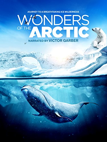 Wonders of the Arctic 3D