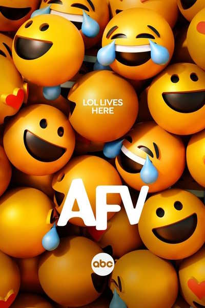 Americas Funniest Home Videos - Season 12