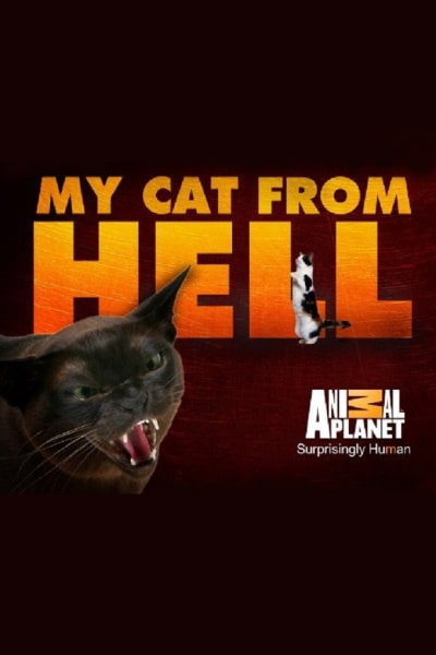 My Cat From Hell - Season 1